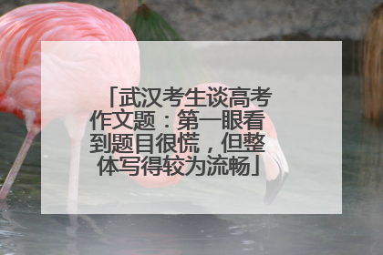 武汉考生谈高考作文题：第一眼看到题目很慌，但整体写得较为流畅