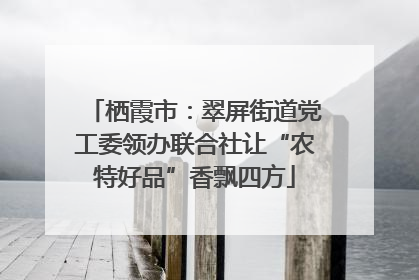 栖霞市：翠屏街道党工委领办联合社让“农特好品”香飘四方