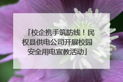 校企携手筑防线！民权县供电公司开展校园安全用电宣教活动