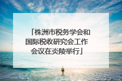 株洲市税务学会和国际税收研究会工作会议在炎陵举行