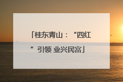 桂东青山：“四红”引领 业兴民富