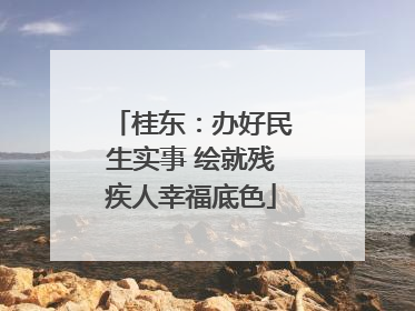 桂东：办好民生实事 绘就残疾人幸福底色