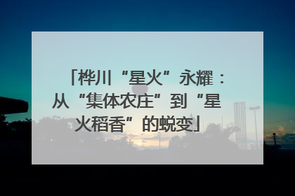 桦川“星火”永耀：从“集体农庄”到“星火稻香”的蜕变