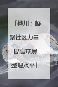桦川：凝聚社区力量 提高基层整理水平