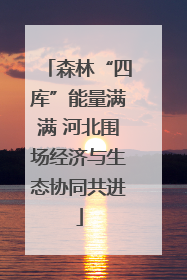 森林“四库”能量满满 河北围场经济与生态协同共进