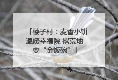 楼子村：麦香小饼温暖幸福院 撂荒地变“金饭碗”