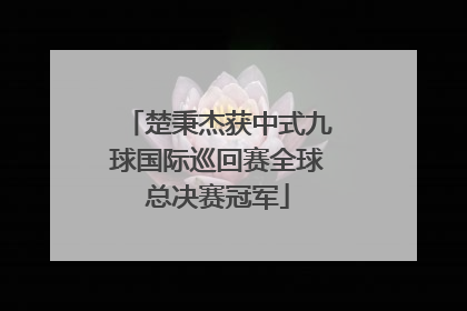 楚秉杰获中式九球国际巡回赛全球总决赛冠军
