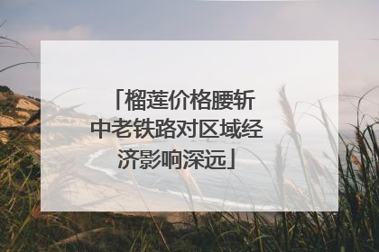 榴莲价格腰斩 中老铁路对区域经济影响深远