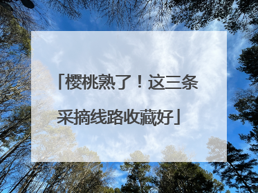 樱桃熟了！这三条采摘线路收藏好