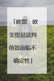 欧盟：欧美贸易谈判前景面临不确定性