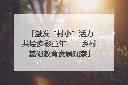 激发“村小”活力 共绘多彩童年——乡村基础教育发展观察