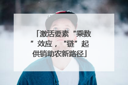 激活要素“乘数”效应，“链”起供销助农新路径