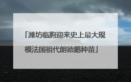 潍坊临朐迎来史上最大规模法国祖代朗德鹅种苗