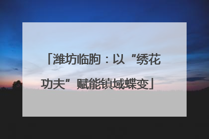 潍坊临朐：以“绣花功夫”赋能镇域蝶变