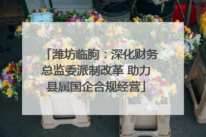潍坊临朐：深化财务总监委派制改革 助力县属国企合规经营