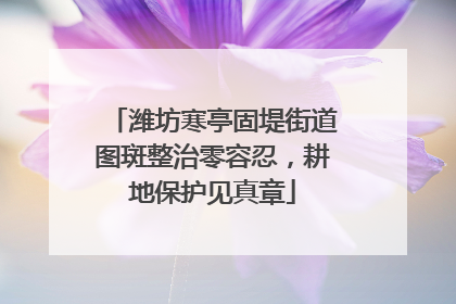 潍坊寒亭固堤街道图斑整治零容忍，耕地保护见真章