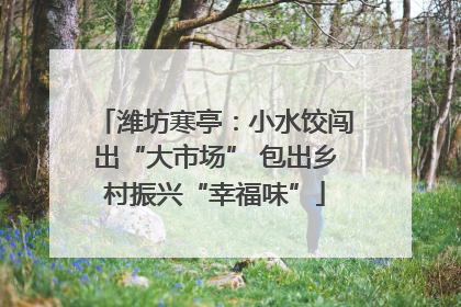 潍坊寒亭：小水饺闯出“大市场” 包出乡村振兴“幸福味”