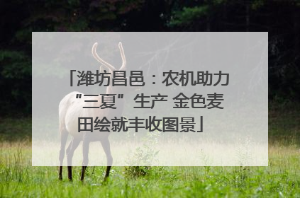 潍坊昌邑：农机助力“三夏”生产 金色麦田绘就丰收图景