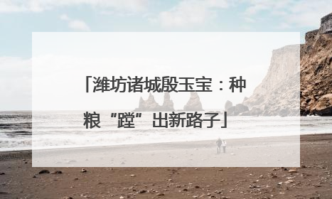 潍坊诸城殷玉宝：种粮“蹚”出新路子