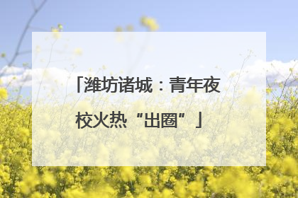 潍坊诸城：青年夜校火热“出圈”