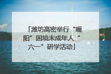 潍坊高密举行“暖阳”困境未成年人“六一”研学活动