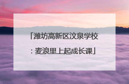 潍坊高新区汶泉学校：麦浪里上起成长课