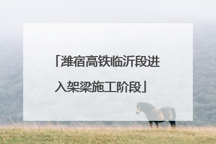 潍宿高铁临沂段进入架梁施工阶段