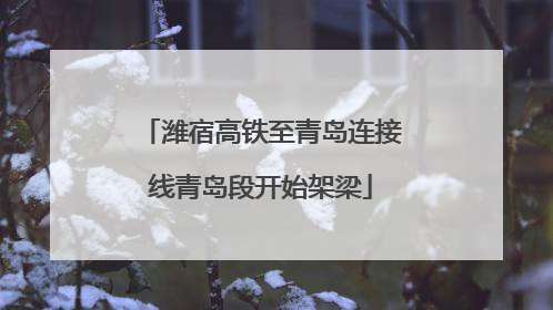 潍宿高铁至青岛连接线青岛段开始架梁