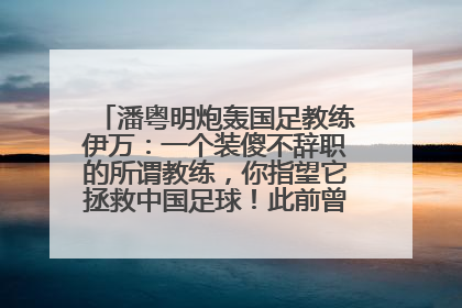潘粤明炮轰国足教练伊万：一个装傻不辞职的所谓教练，你指望它拯救中国足球！此前曾多次发文评价国足