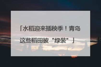 水稻迎来插秧季！青岛这些稻田披“绿装”