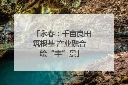 永春：千亩良田筑根基 产业融合绘“丰”景