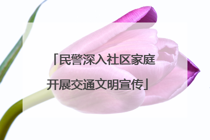 民警深入社区家庭开展交通文明宣传