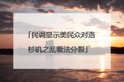 民调显示美民众对洛杉矶之乱看法分裂