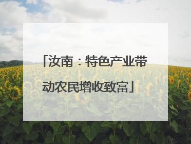 汝南：特色产业带动农民增收致富
