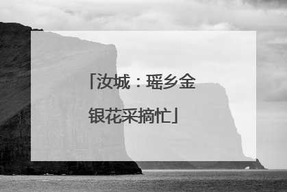 汝城：瑶乡金银花采摘忙