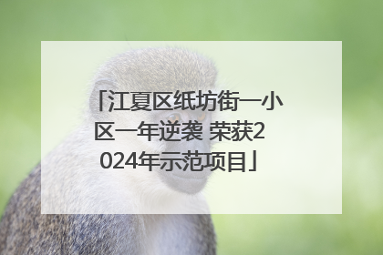 江夏区纸坊街一小区一年逆袭 荣获2024年示范项目