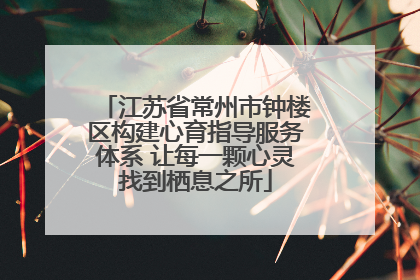 江苏省常州市钟楼区构建心育指导服务体系 让每一颗心灵找到栖息之所
