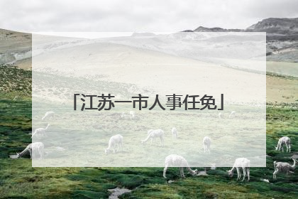 江苏一市人事任免