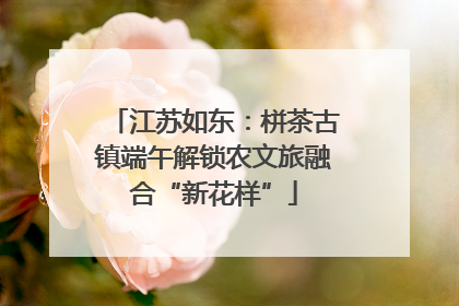 江苏如东：栟茶古镇端午解锁农文旅融合“新花样”
