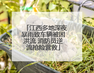江西多地深夜暴雨致车辆被困洪流 消防员逆流抢险营救