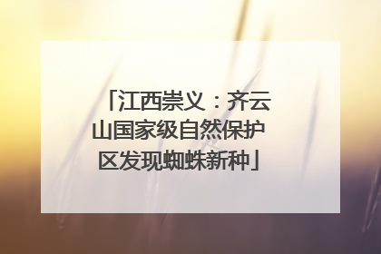 江西崇义：齐云山国家级自然保护区发现蜘蛛新种