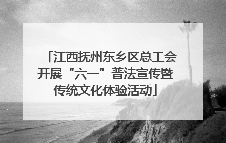 江西抚州东乡区总工会开展“六一”普法宣传暨传统文化体验活动