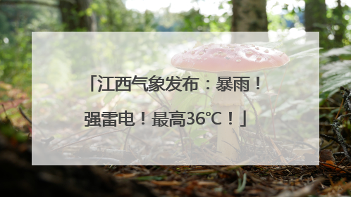 江西气象发布：暴雨！强雷电！最高36℃！