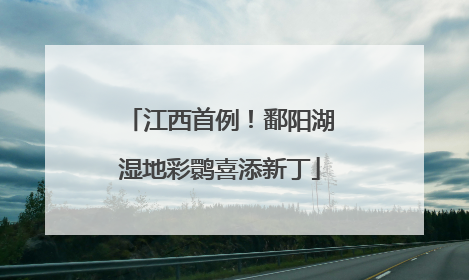 江西首例！鄱阳湖湿地彩鹮喜添新丁