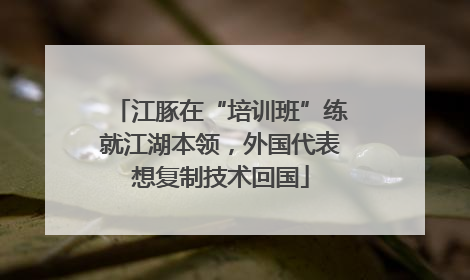 江豚在“培训班”练就江湖本领，外国代表想复制技术回国
