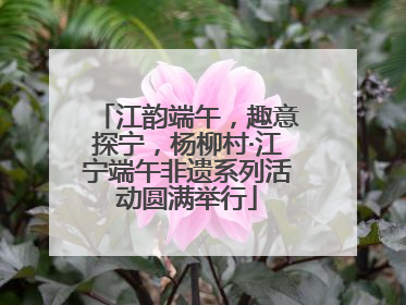 江韵端午，趣意探宁，杨柳村·江宁端午非遗系列活动圆满举行