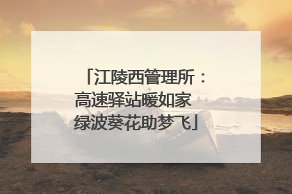江陵西管理所：高速驿站暖如家 绿波葵花助梦飞