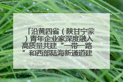 沿黄四省（陕甘宁蒙）青年企业家深度融入高质量共建“一带一路”和西部陆海新通道建设战略合作交流会在甘肃兰州召开