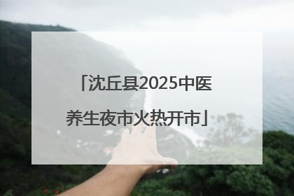 沈丘县2025中医养生夜市火热开市