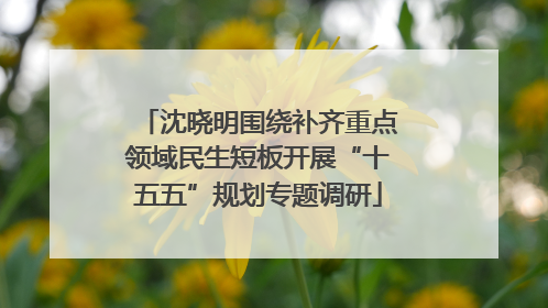 沈晓明围绕补齐重点领域民生短板开展“十五五”规划专题调研